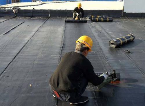 1616468007499830.jpg 26093725.jpg