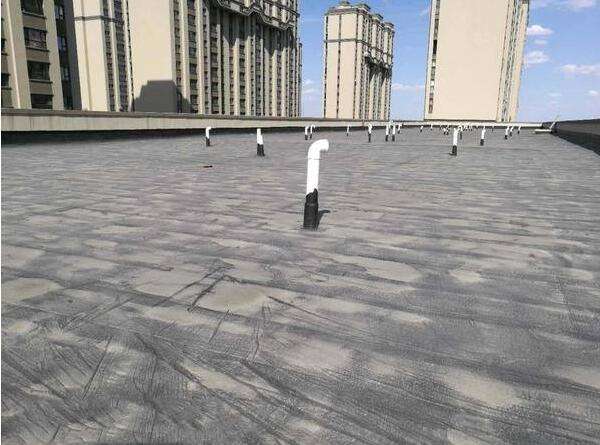 1616468034856026.jpg 26093622.jpg