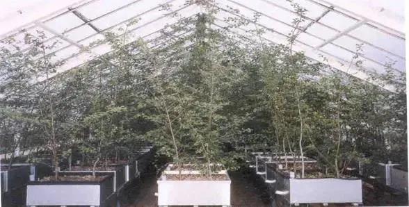 1617693921397328.jpg 微信图片_20210406152315.jpg