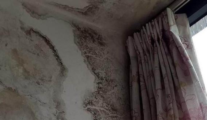 1620887137708021.png 图片.png