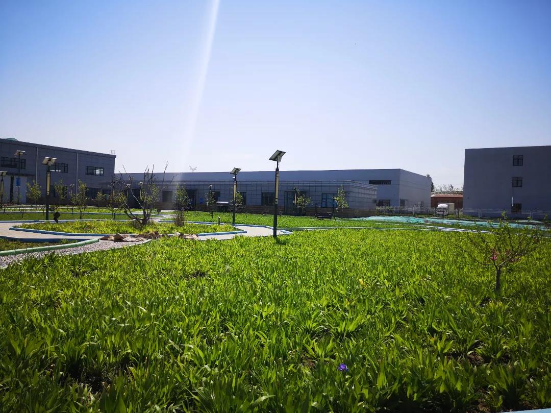 1641453135938466.jpg 微信图片_20220106150946.jpg