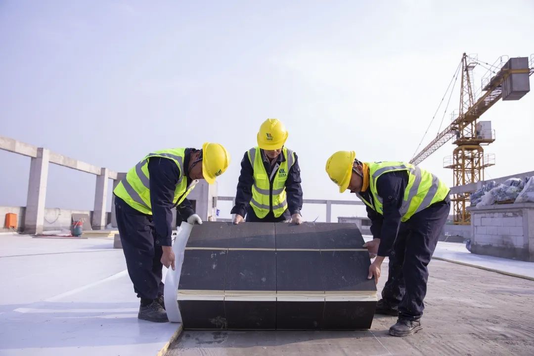 1645167291297504.jpg fa4cde9ca9823477dd738a900e91384f.jpg