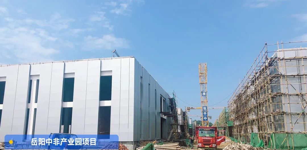 1645187550241220.jpg 14.jpg