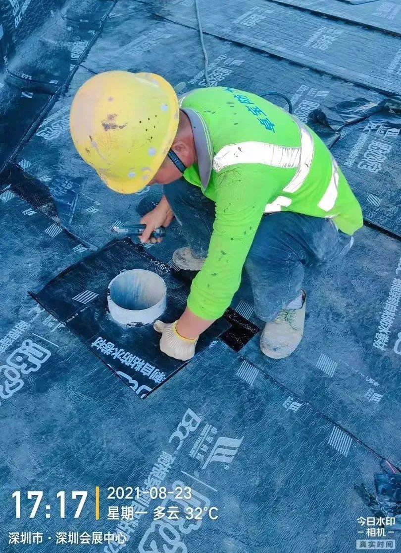 1646876743634992.jpg 6.jpg