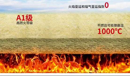 1646996644635751.jpg 2.jpg