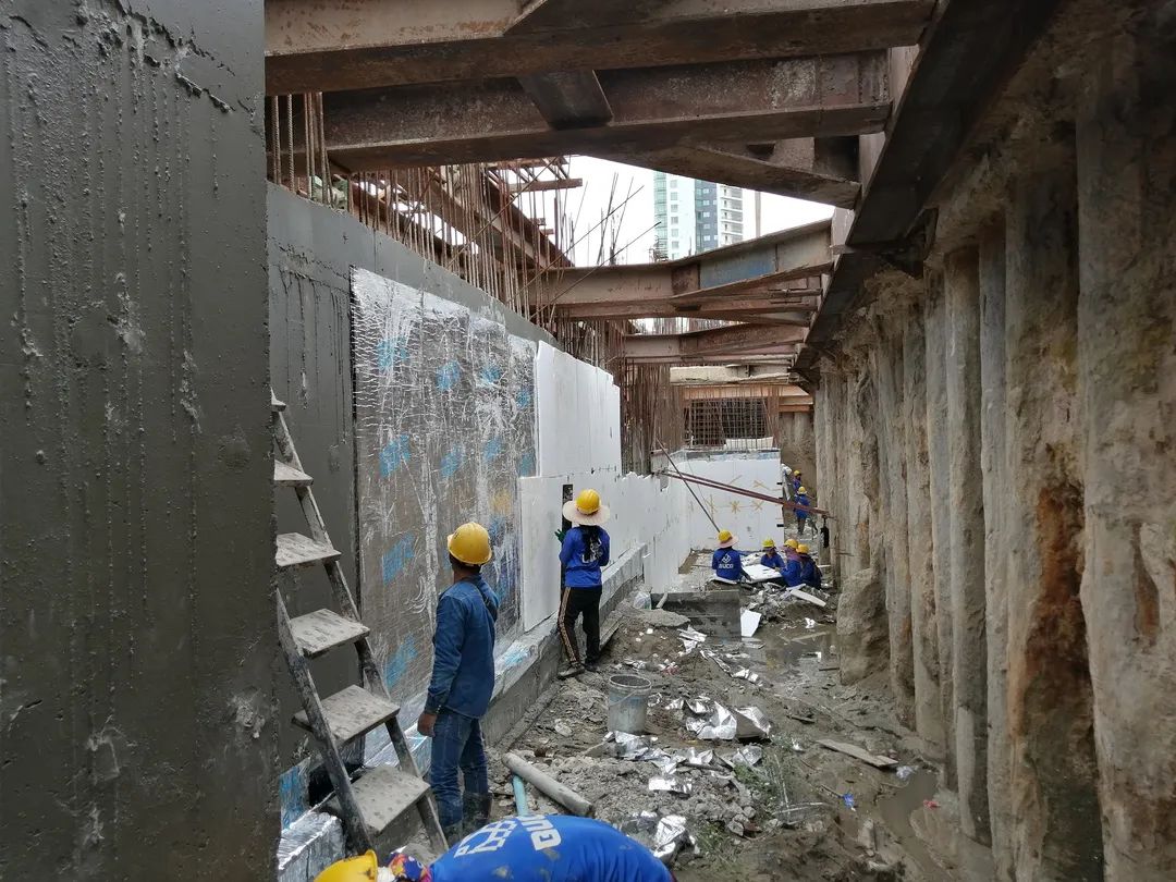 1648516972583320.jpg 10.jpg