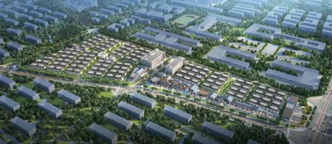 1650505722939405.jpg 10.jpg