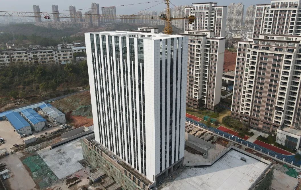 1650505955526559.jpg 11.jpg