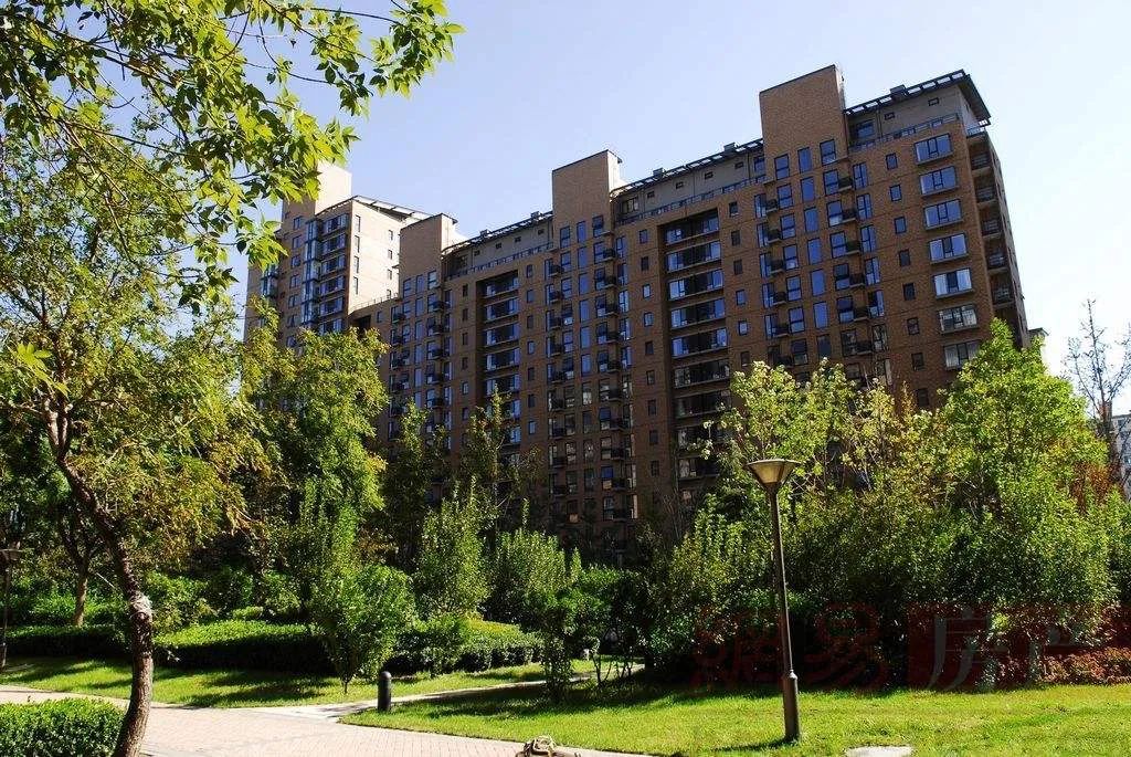 1652665331719662.jpg 7.jpg