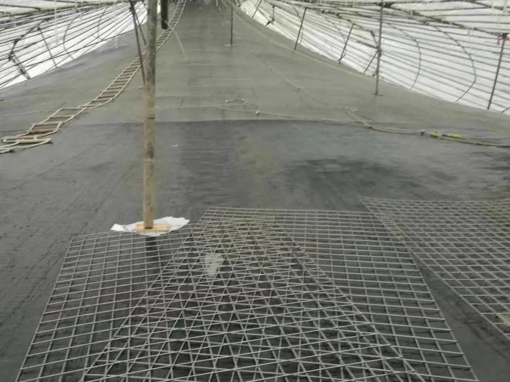 1655083727569250.jpg 配图 (10).jpg