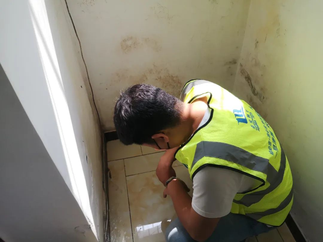 1658828291454881.jpg 1.jpg