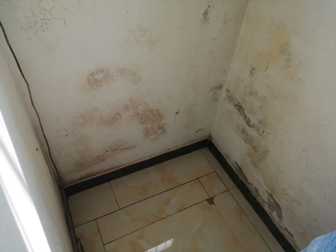 1658828301850152.jpg 2.jpg