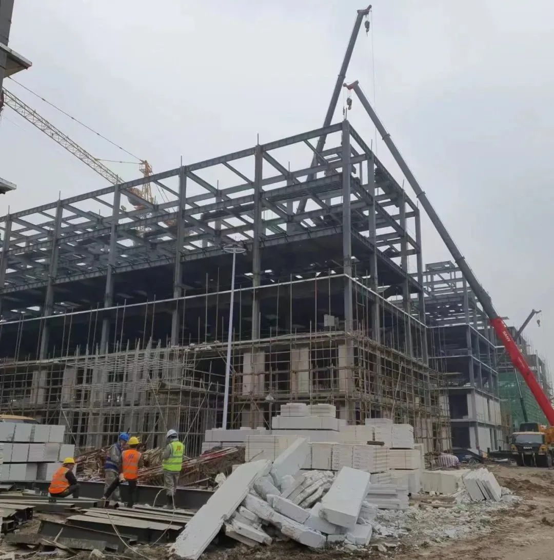 1661830441226769.jpg 7.jpg