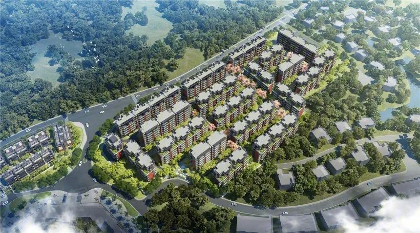 1662602920276941.jpg 紫山.jpg