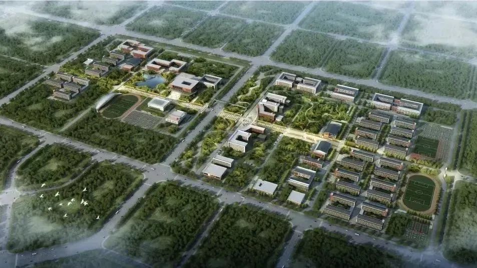 1663811440524378.jpg 7.jpg