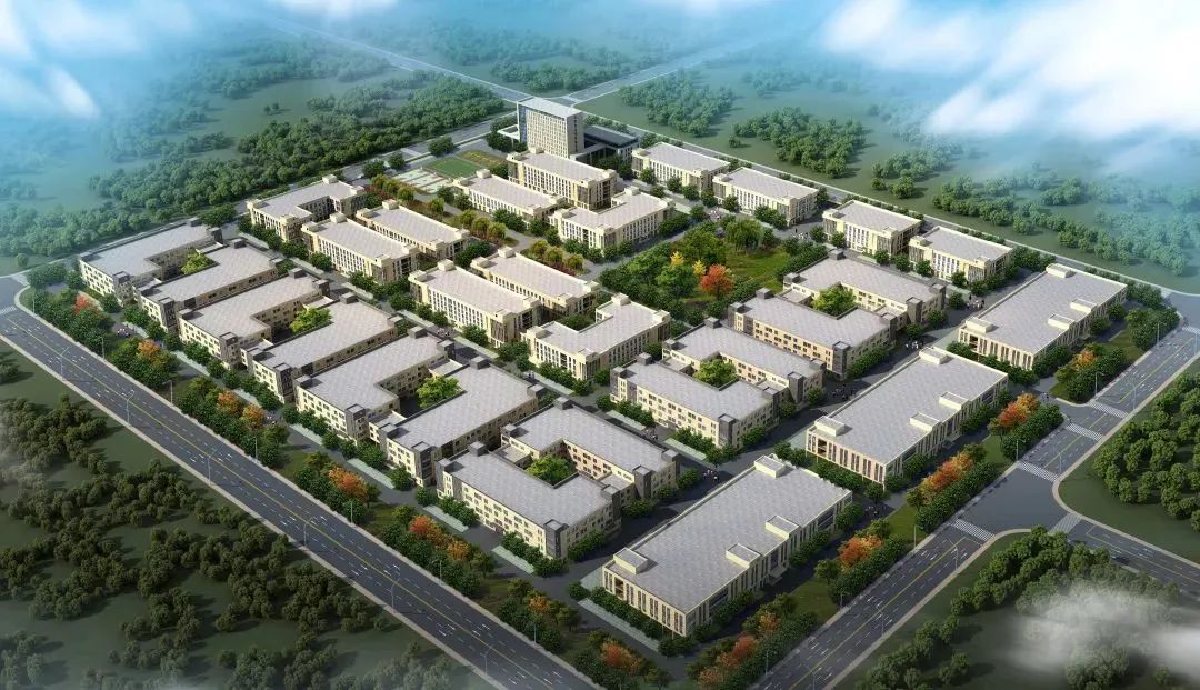 1663811551983393.jpg 9.jpg