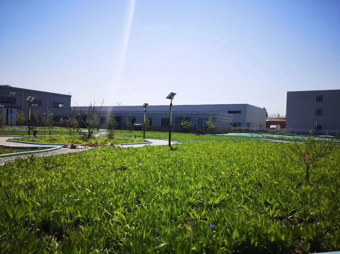 1665712720164818.jpg d82060d6a581e7939e524bb705644dc0.jpg