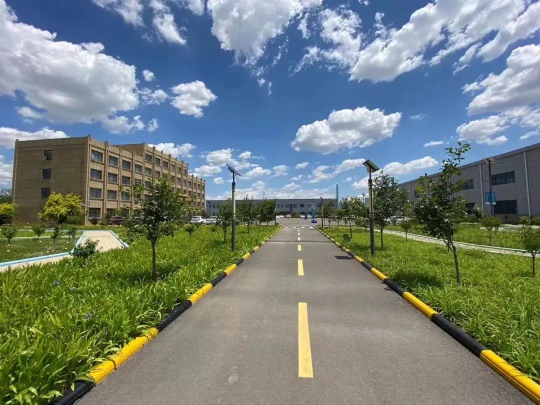 1665712730375510.jpg c0dd2a8f0badb8f89ada81681daa2f46.jpg