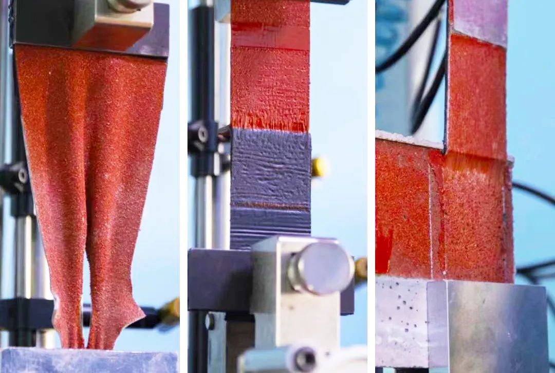 1665713377813651.jpg ee09ebd554fae2e862edfdeabdb6c9f8.jpg