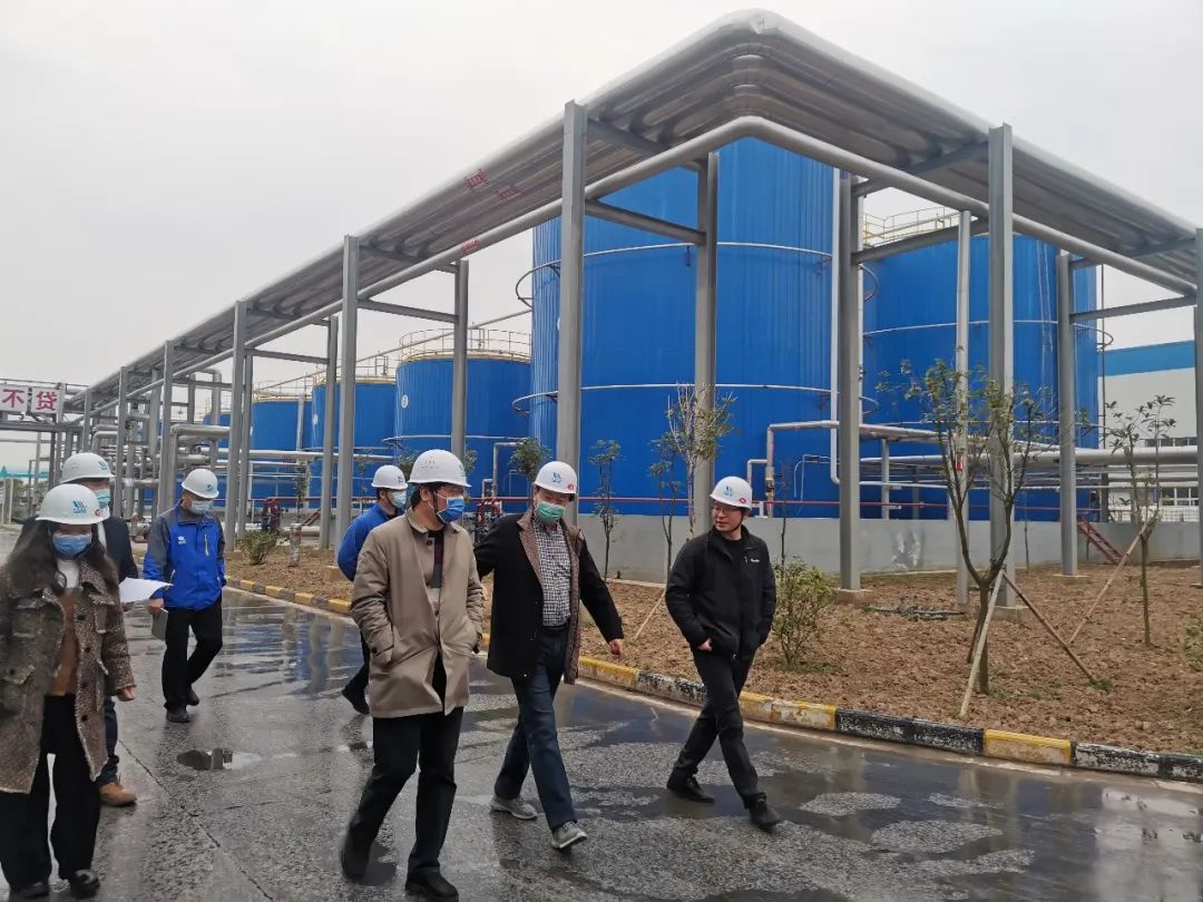 1666056089529802.jpg 领导视察1.jpg