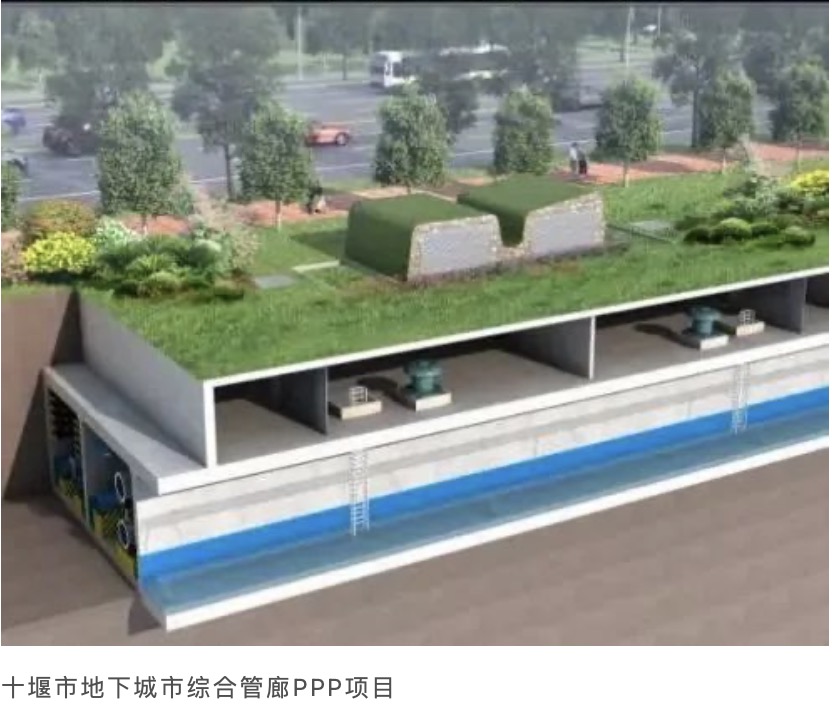 1666669215218445.jpeg 2.jpeg