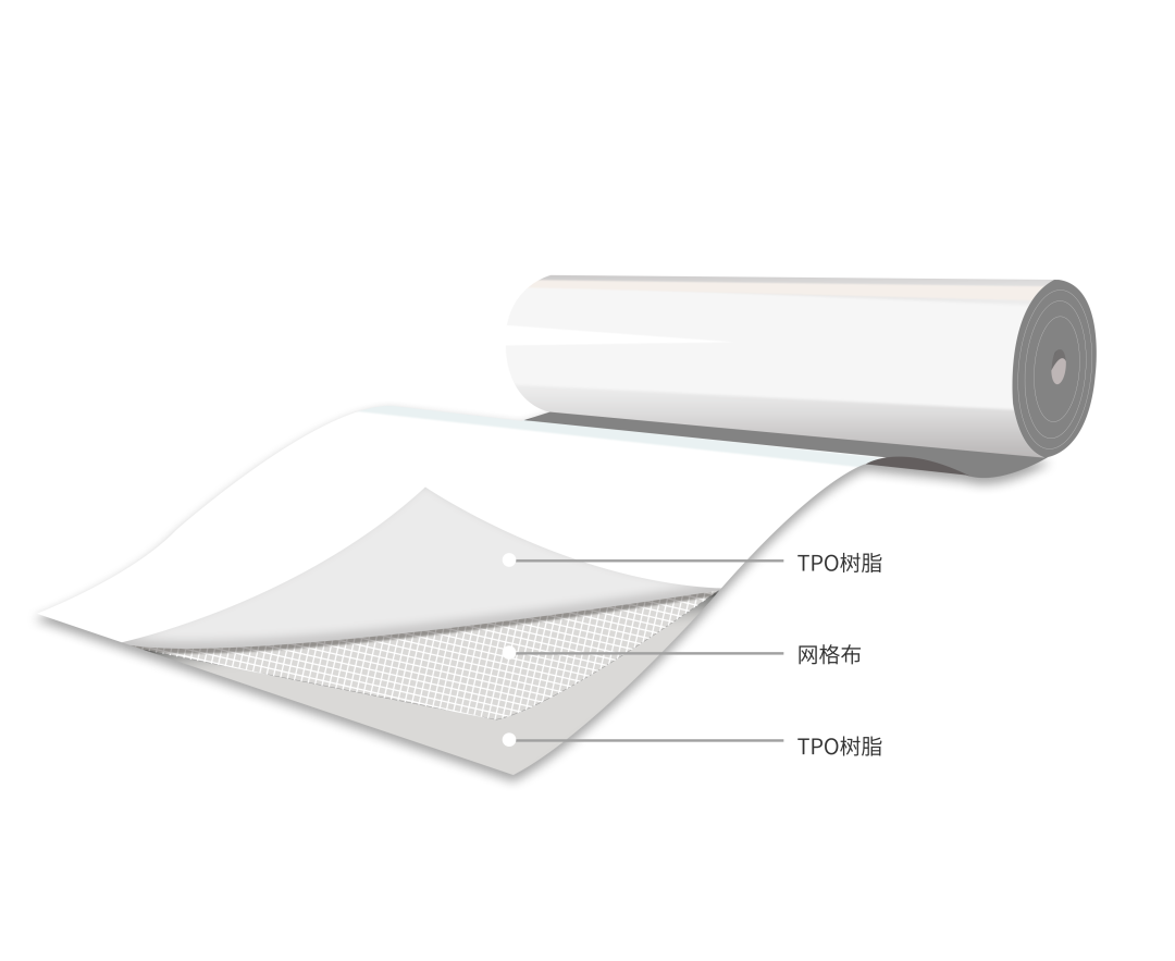 1668674336630291.jpg P.jpg