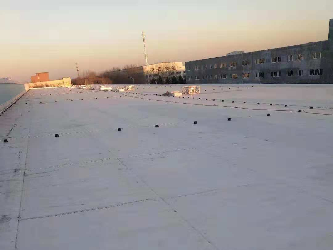 1668675416233625.png 640-3.png