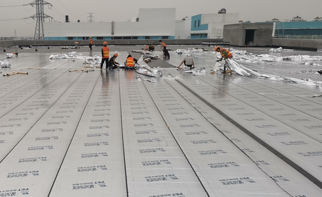 1676856106689540.jpg 6.jpg