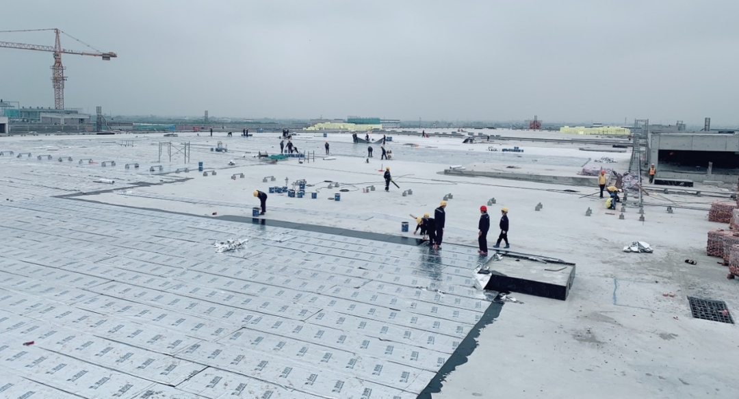 1676856581489248.jpg 52.jpg