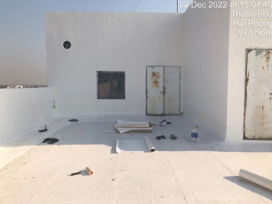 1684726102113977.jpg 恩豪1.jpg