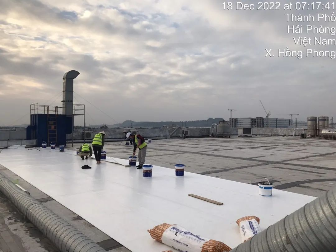 1684726123606553.jpg 恩豪4.jpg