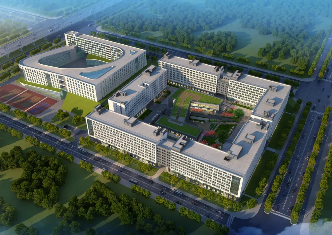 1721116534477645.jpg 2.jpg