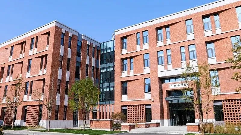 1721116644679989.jpg 6.jpg